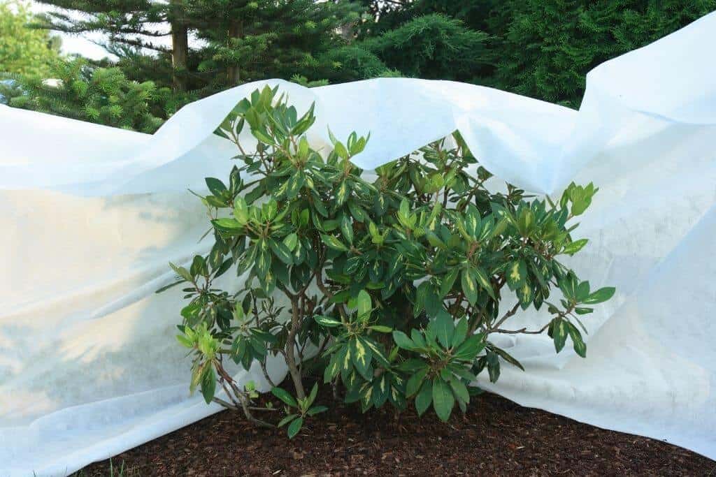 Miniatura produktu 2