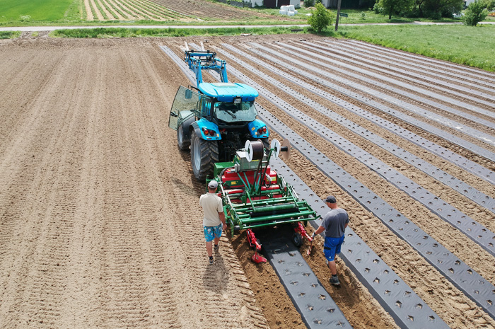 Rozkładanie agrowłókniny ściółkującej Agrimpex