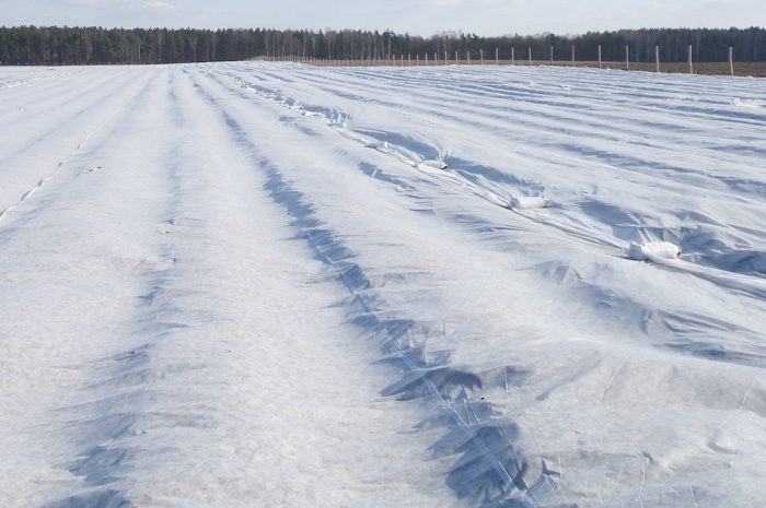 Agrowłóknina okrywająca Agrimpex
