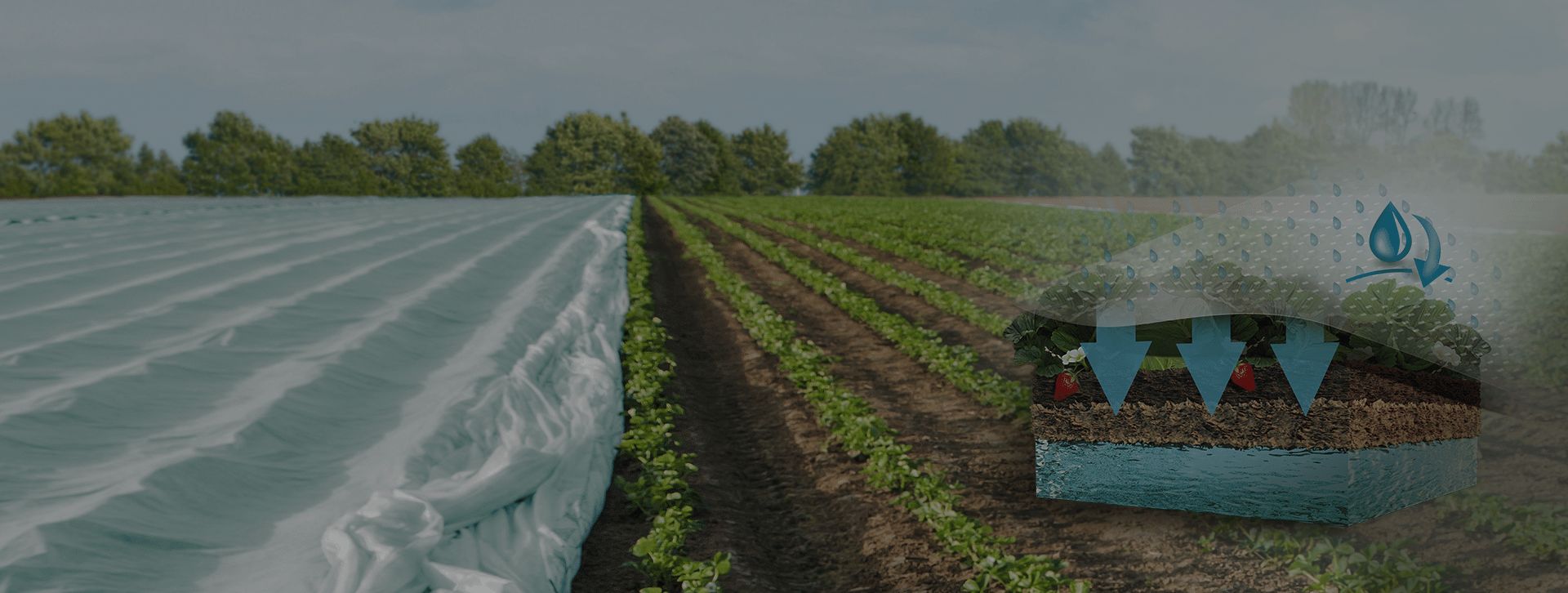 zdjecie slidera glownego