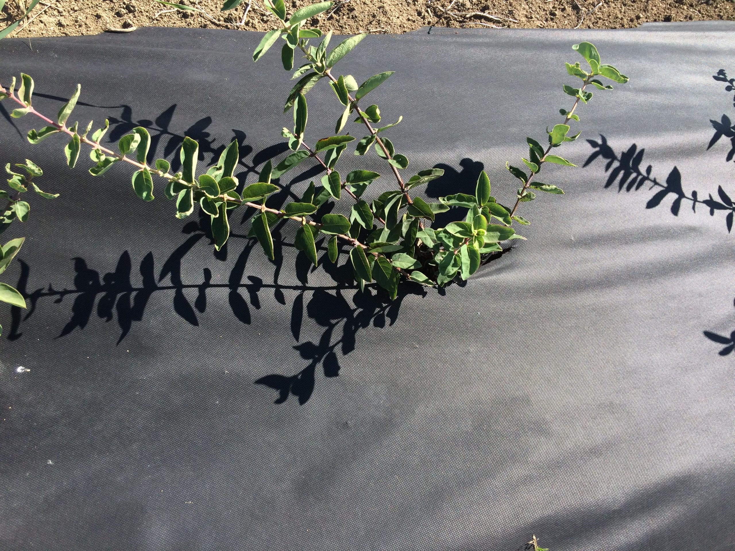 Miniatura produktu 3