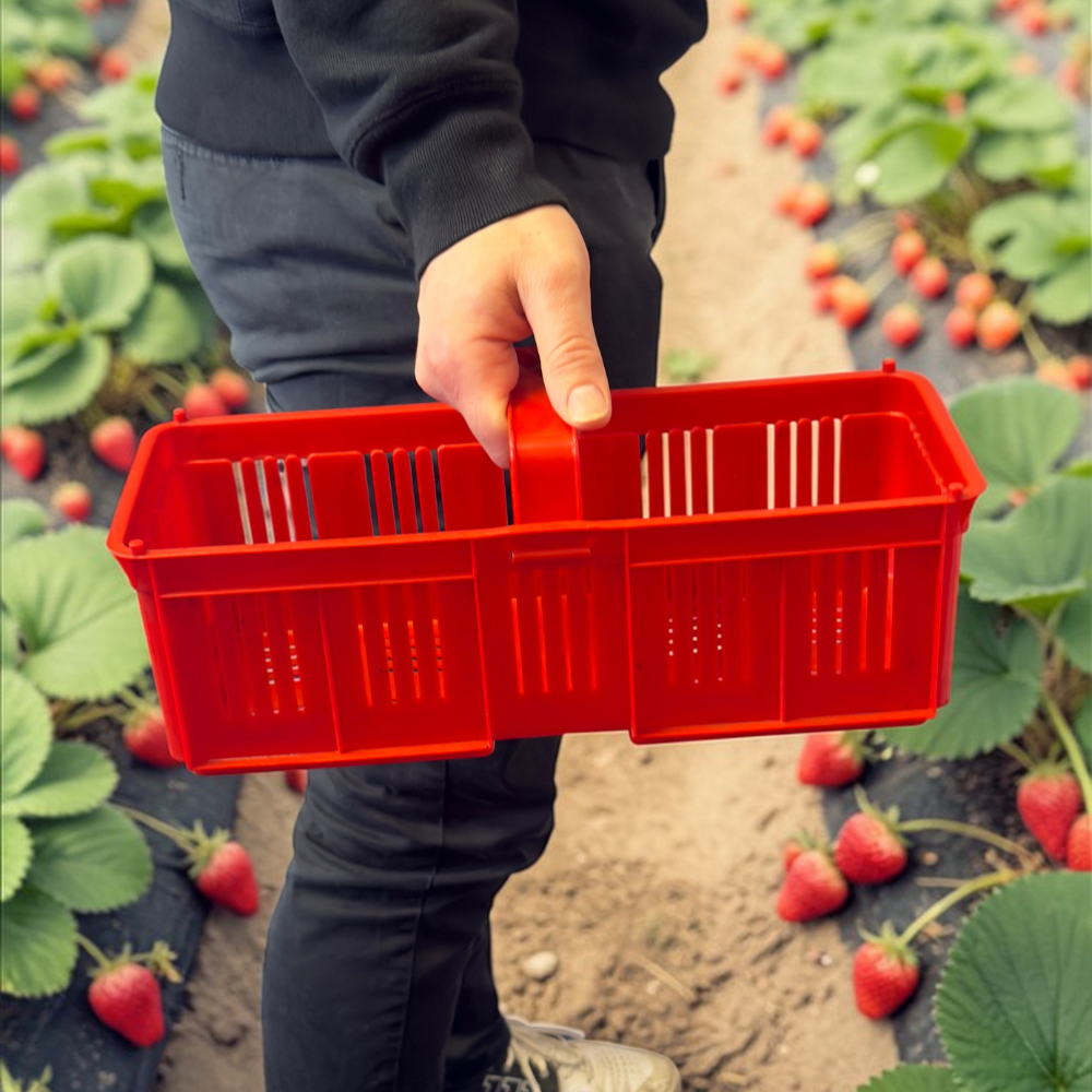 Miniatura produktu 3